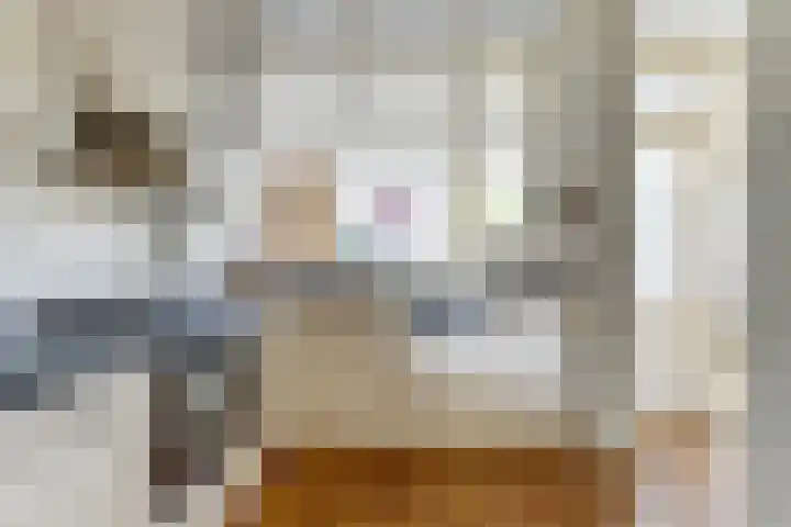 Limburgpad 12 Dongen thumbnail 14