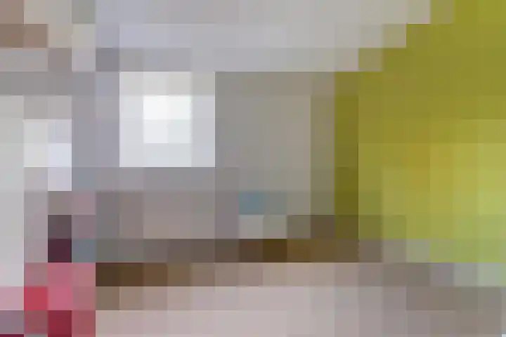 Limburgpad 12 Dongen thumbnail 24