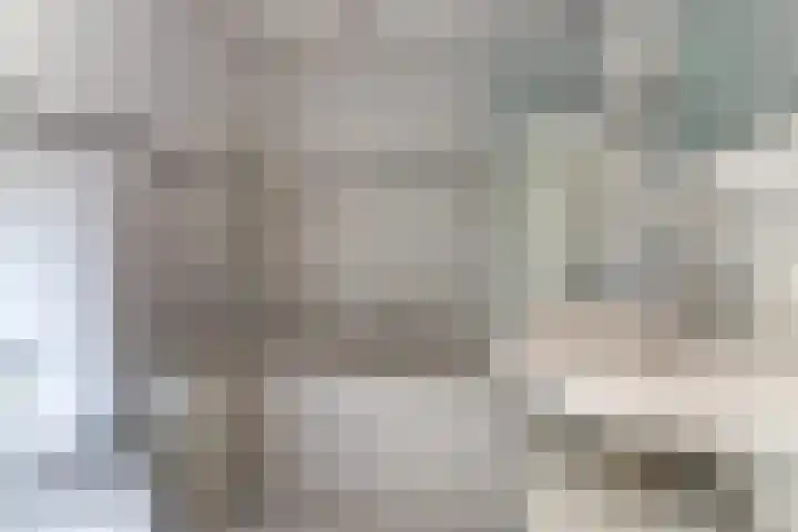 Limburgpad 12 Dongen thumbnail 26