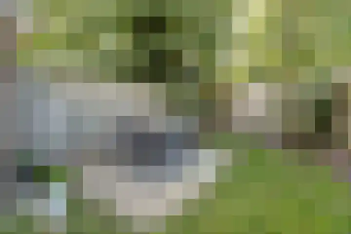Limburgpad 12 Dongen thumbnail 28
