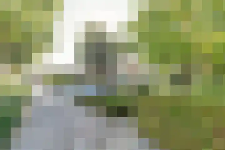 Limburgpad 12 Dongen thumbnail 32