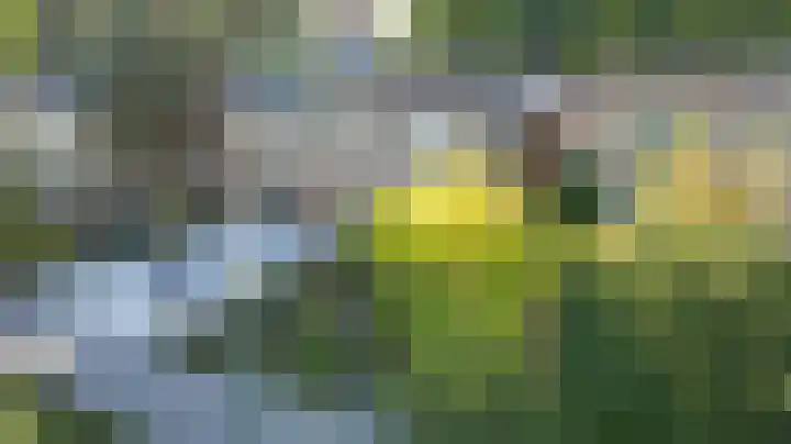 Limburgpad 12 Dongen thumbnail 33