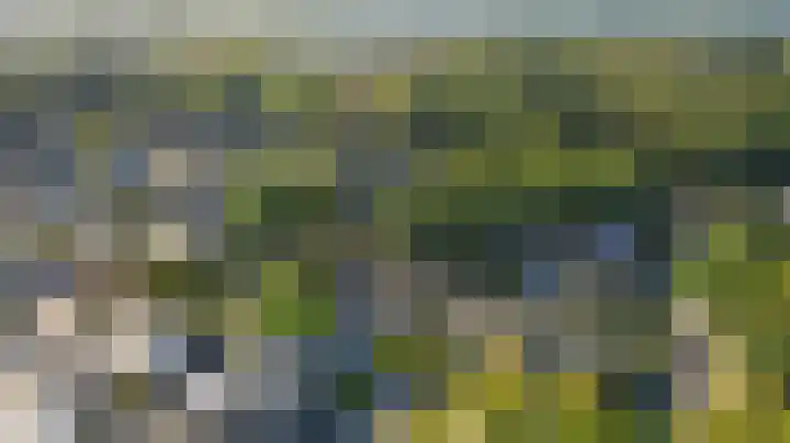 Limburgpad 12 Dongen thumbnail 34