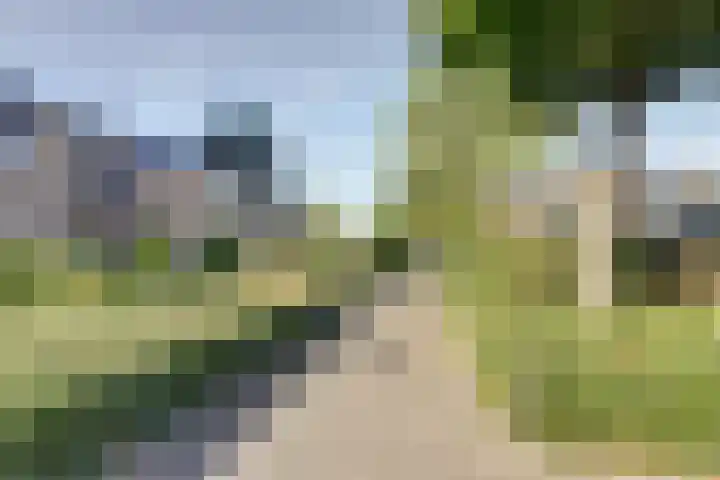 Limburgpad 12 Dongen thumbnail 35
