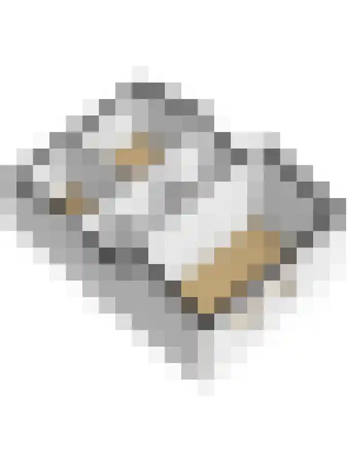 Limburgpad 12 Dongen thumbnail 38