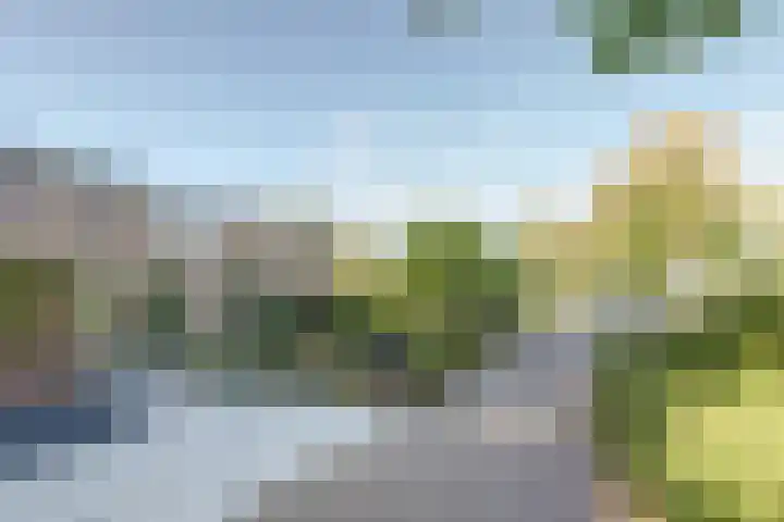 Limburgpad 12 Dongen thumbnail 4