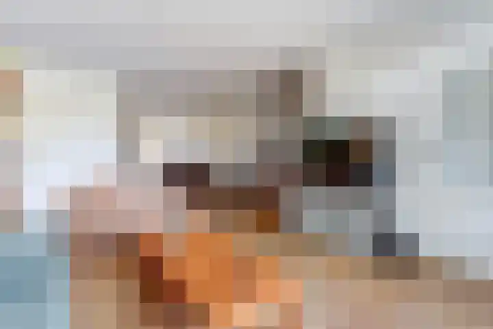 Limburgpad 12 Dongen thumbnail 8