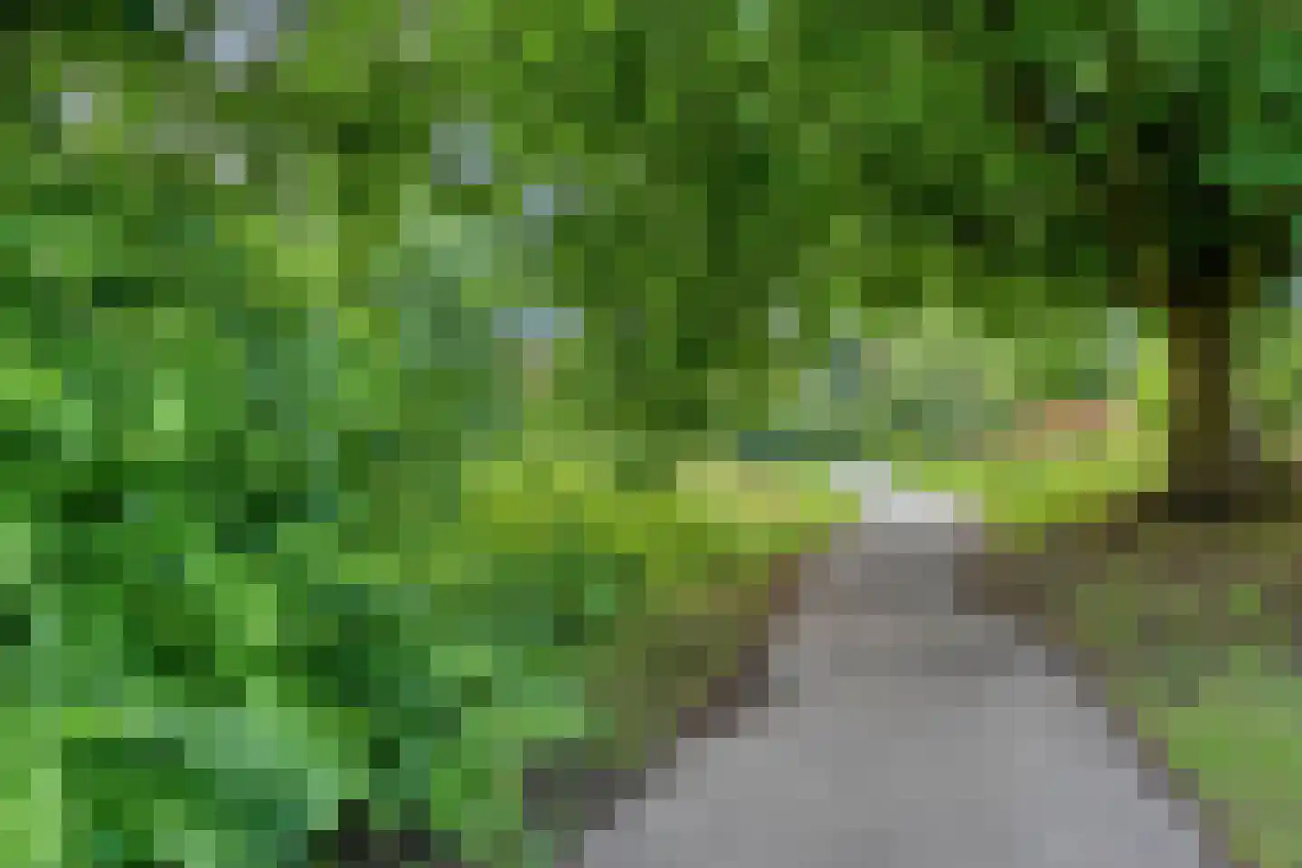 Limburgsingel 176 Arnhem thumbnail 24