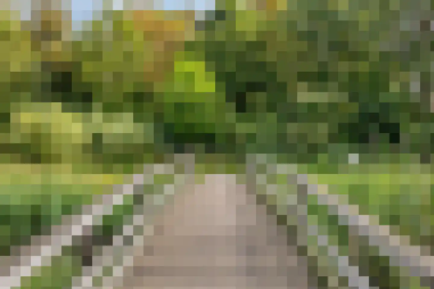 Limburgsingel 176 Arnhem thumbnail 26