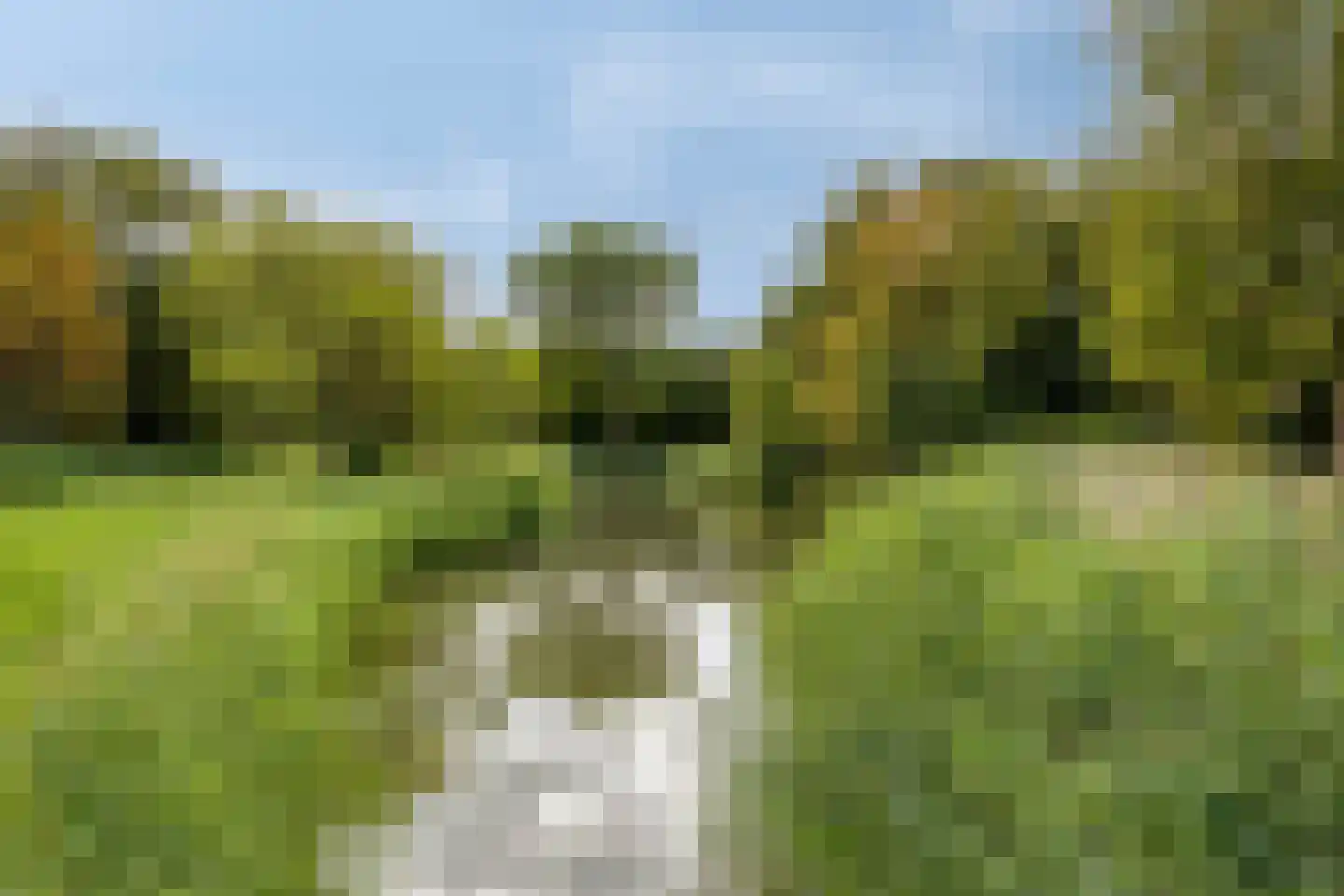 Limburgsingel 176 Arnhem thumbnail 27
