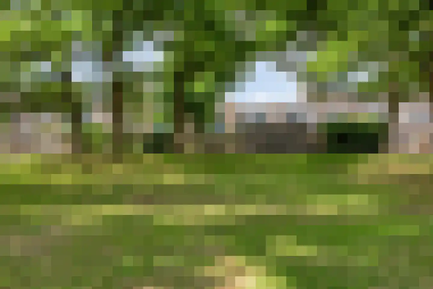 Limburgsingel 176 Arnhem thumbnail 28
