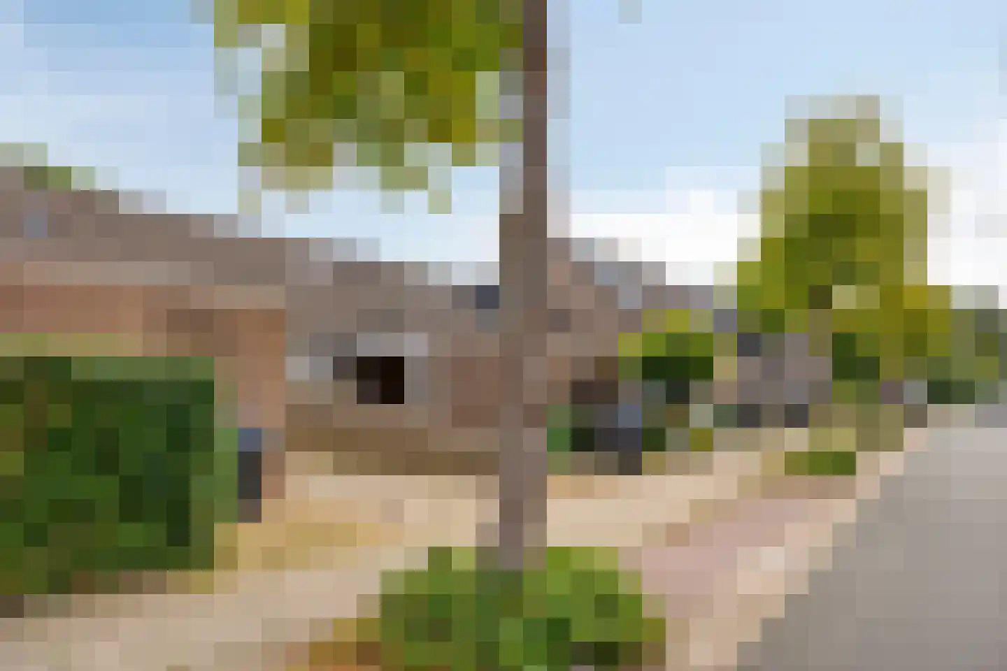 Limburgsingel 176 Arnhem thumbnail 30