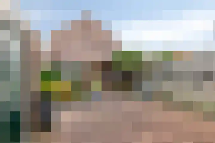 Limburgsingel 98 Arnhem thumbnail 26