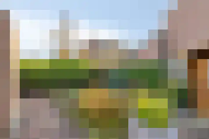 Limburgsingel 98 Arnhem thumbnail 28