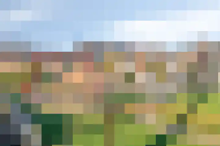 Limburgsingel 98 Arnhem thumbnail 54