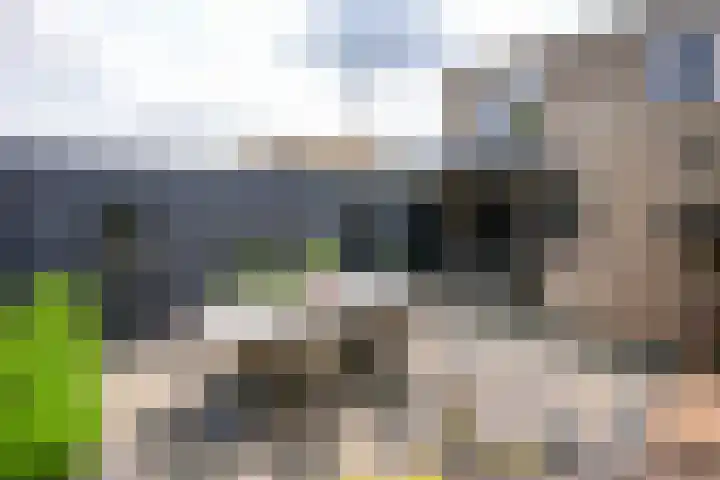 Limburgstraat 15 Geleen thumbnail 31