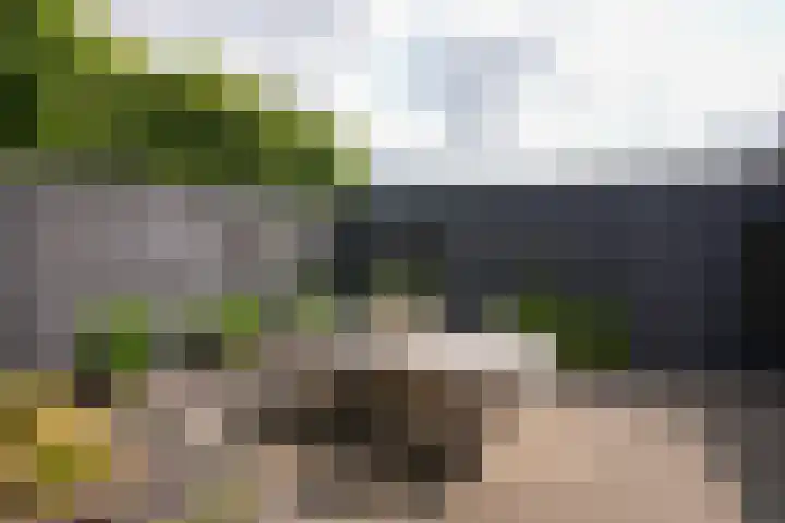 Limburgstraat 15 Geleen thumbnail 32