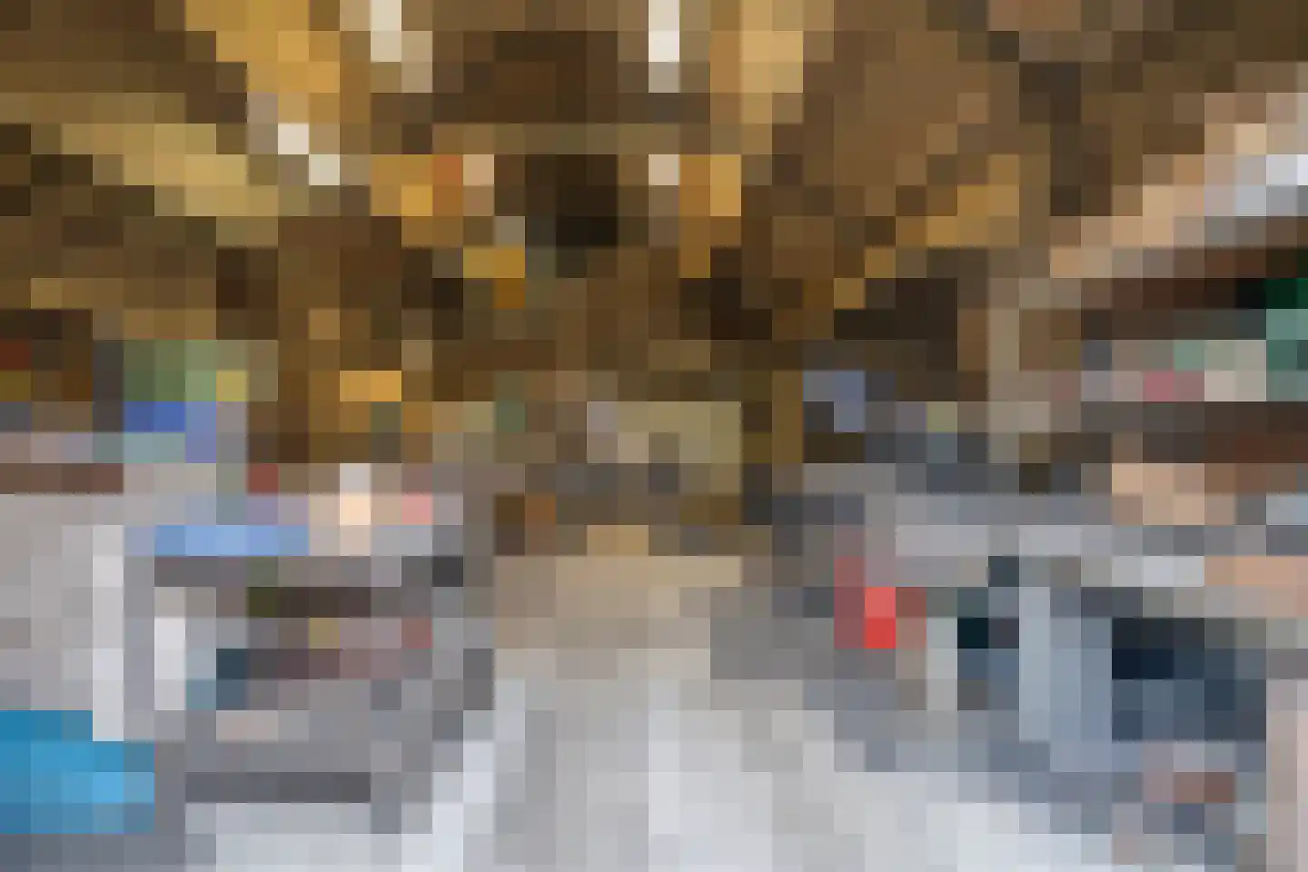 Limburgstraat 19 Deurne thumbnail 18