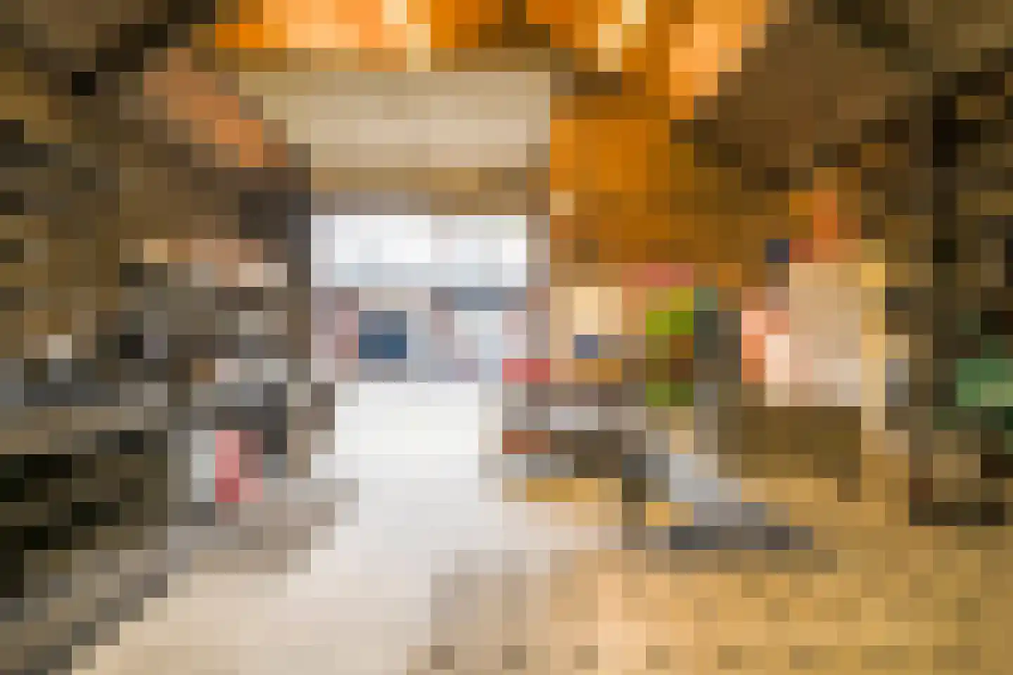 Limburgstraat 19 Deurne thumbnail 20