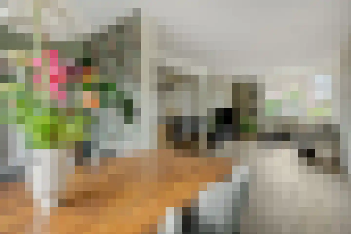Limburgstraat 20 Deurne thumbnail 13