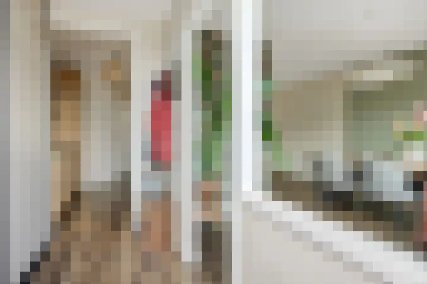 Limburgstraat 20 Deurne thumbnail 20