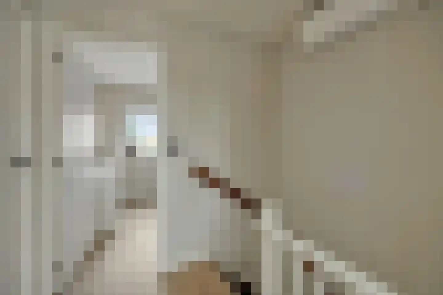 Limburgstraat 20 Deurne thumbnail 22