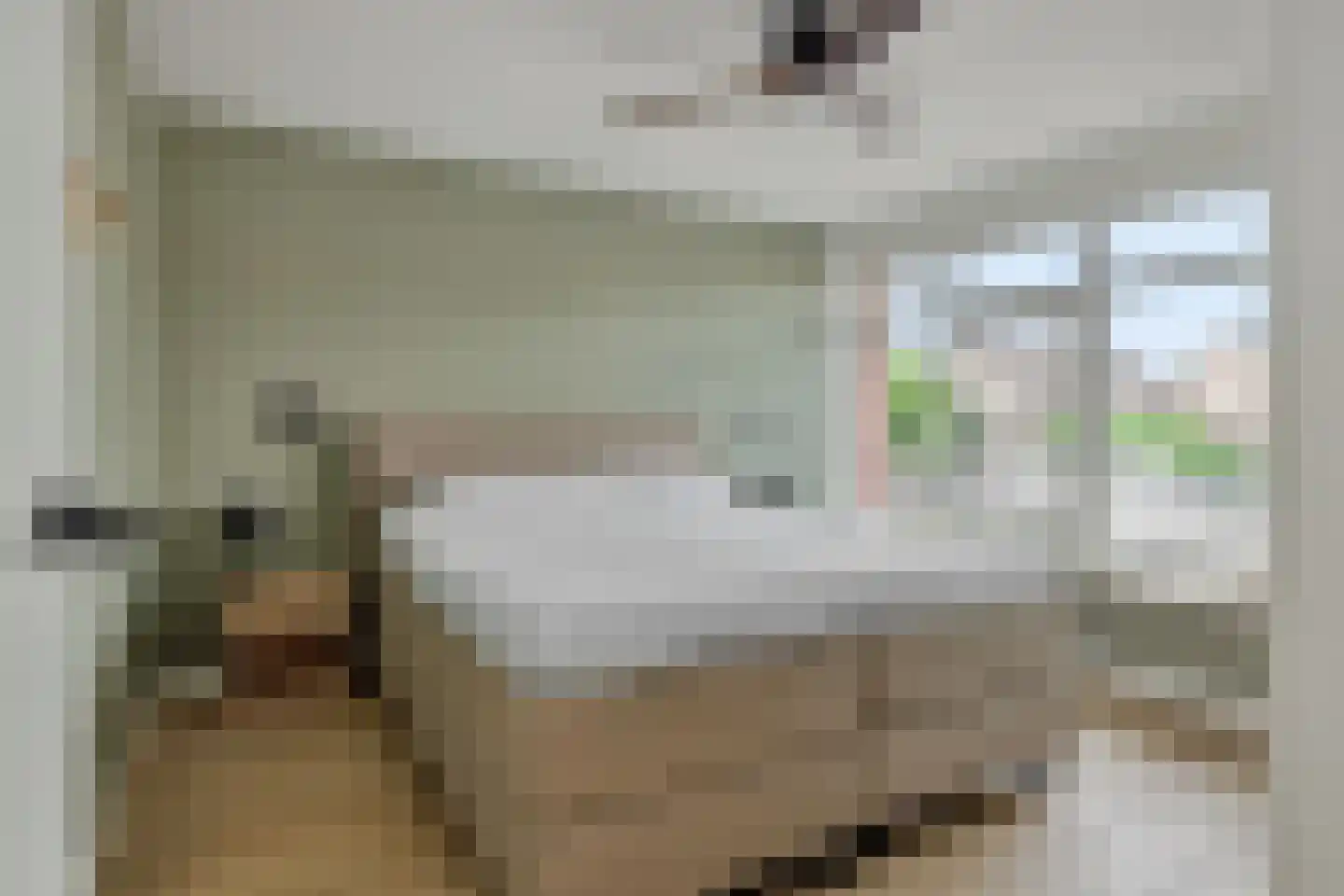 Limburgstraat 20 Deurne thumbnail 25