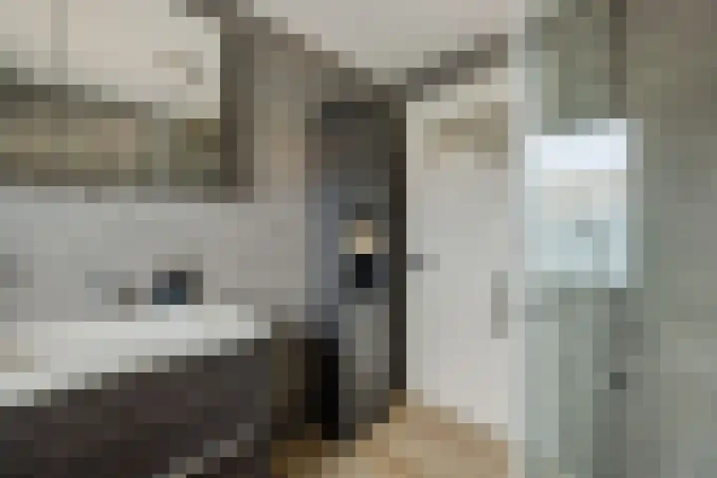 Limburgstraat 20 Deurne thumbnail 30