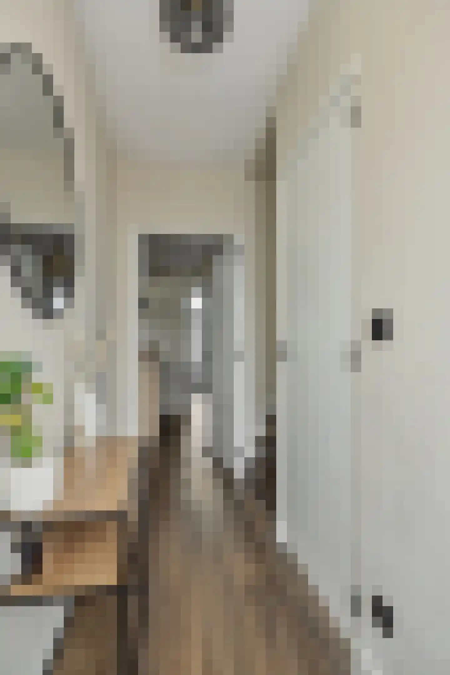 Limburgstraat 20 Deurne thumbnail 8