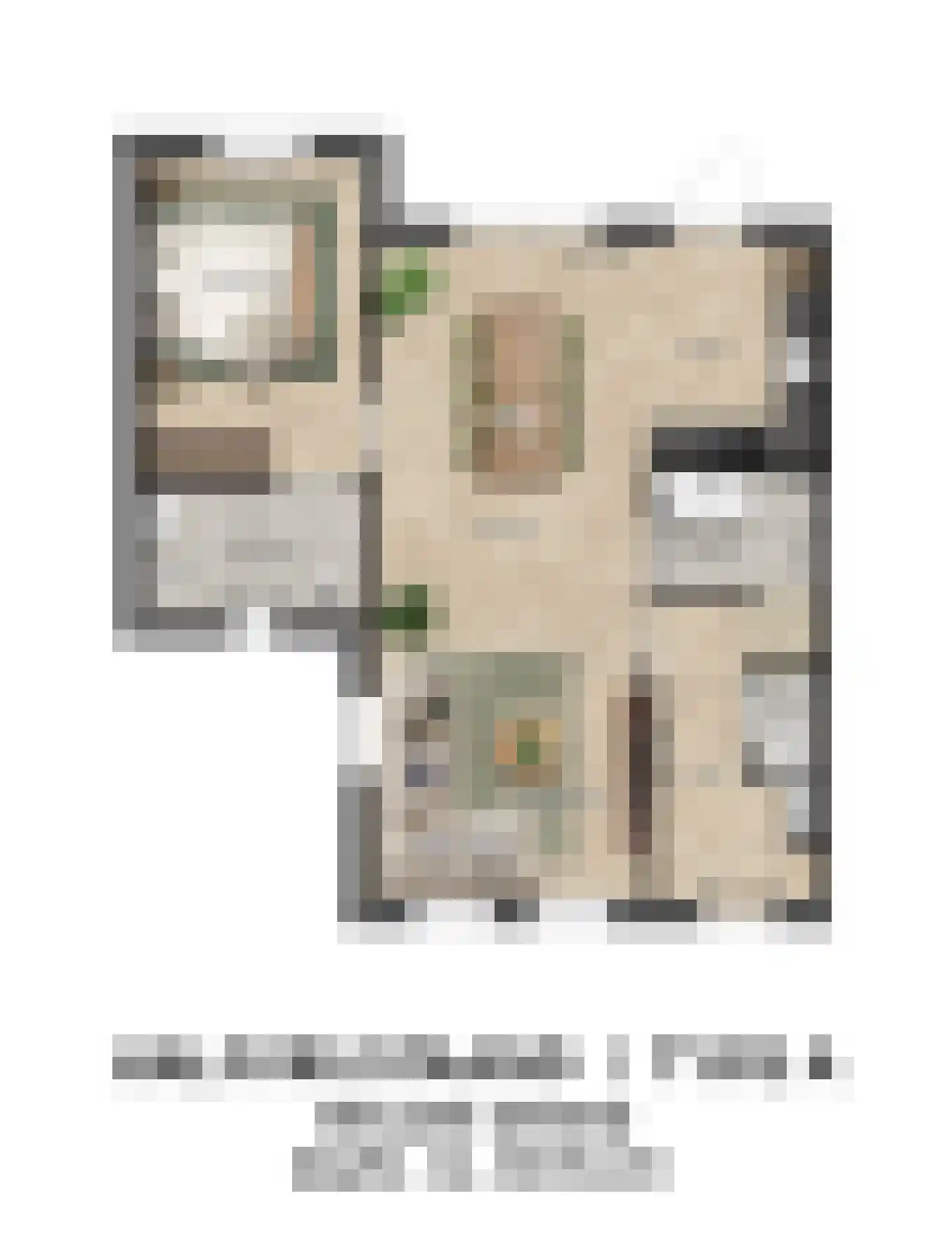 Limburgstraat 20 Kelpen-Oler thumbnail 7