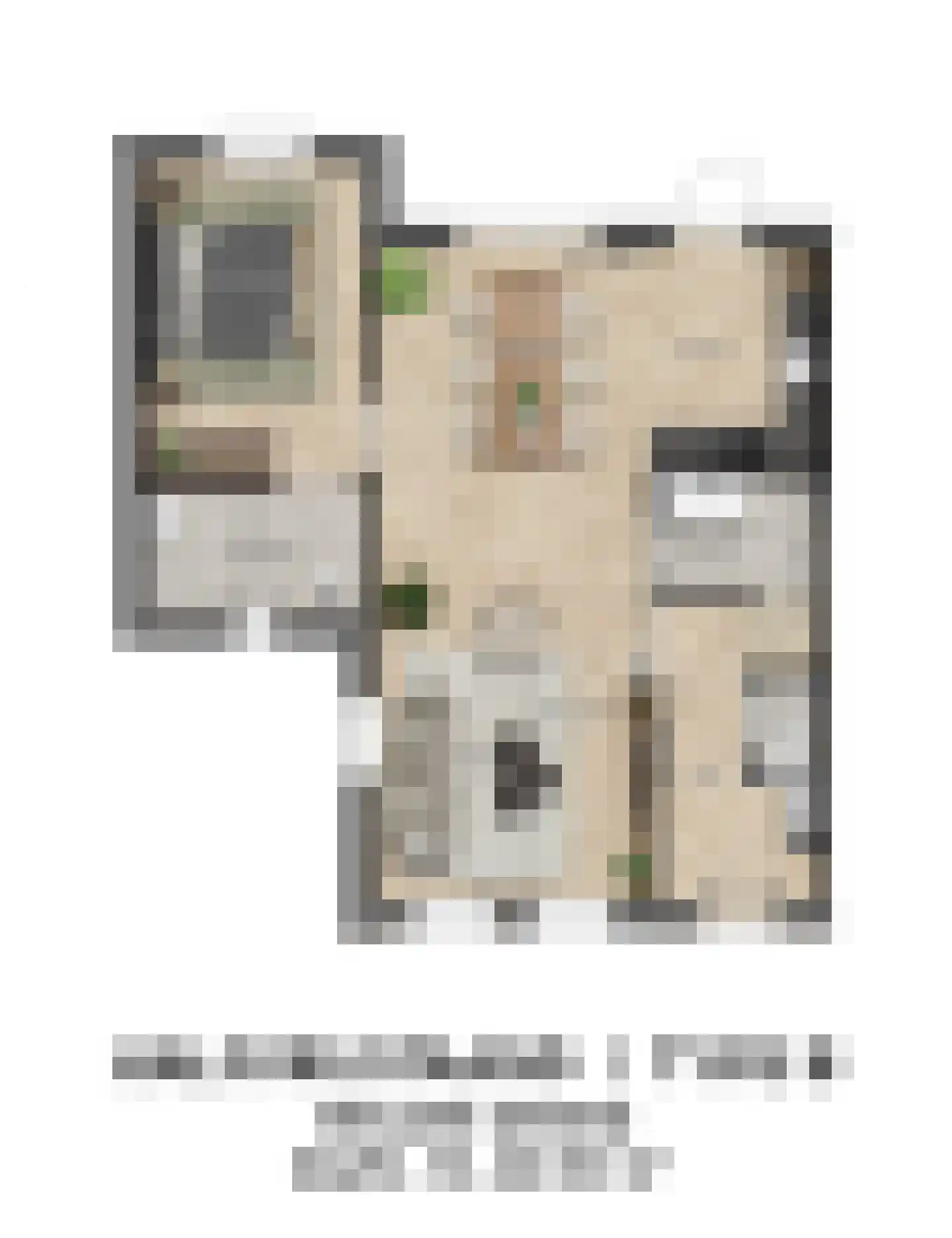 Limburgstraat 22 Kelpen-Oler thumbnail 7