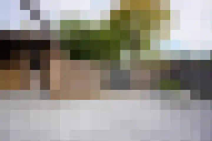 Limburgstraat 27 Geleen thumbnail 21