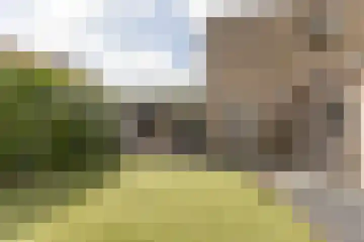 Limburgstraat 8 Geleen thumbnail 23