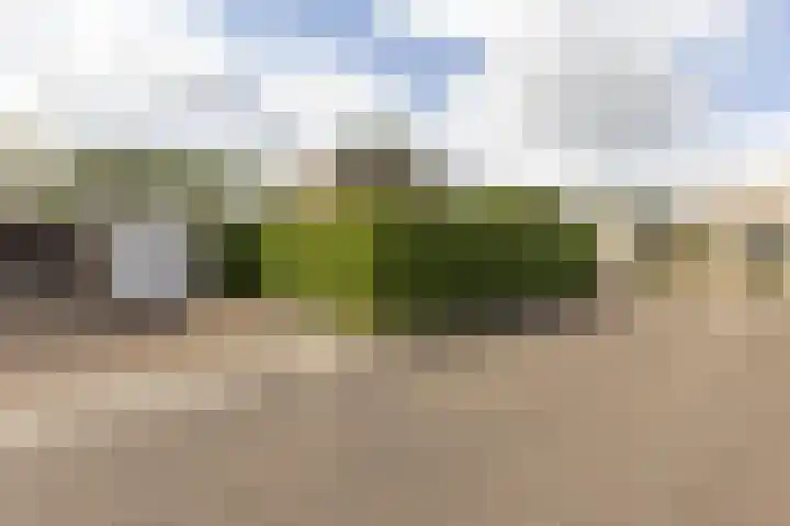 Limburgstraat 8 Geleen thumbnail 5