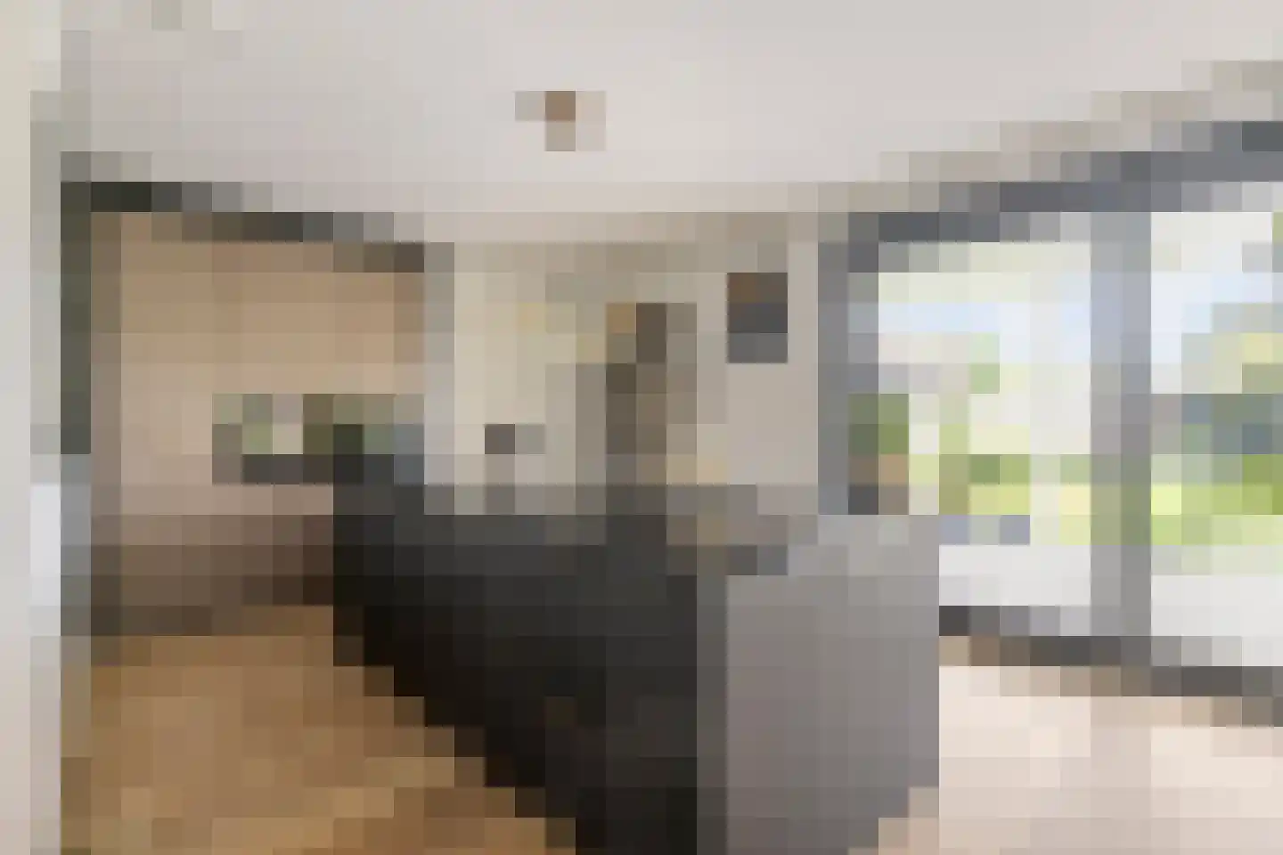 Limes 18 Huissen thumbnail 11