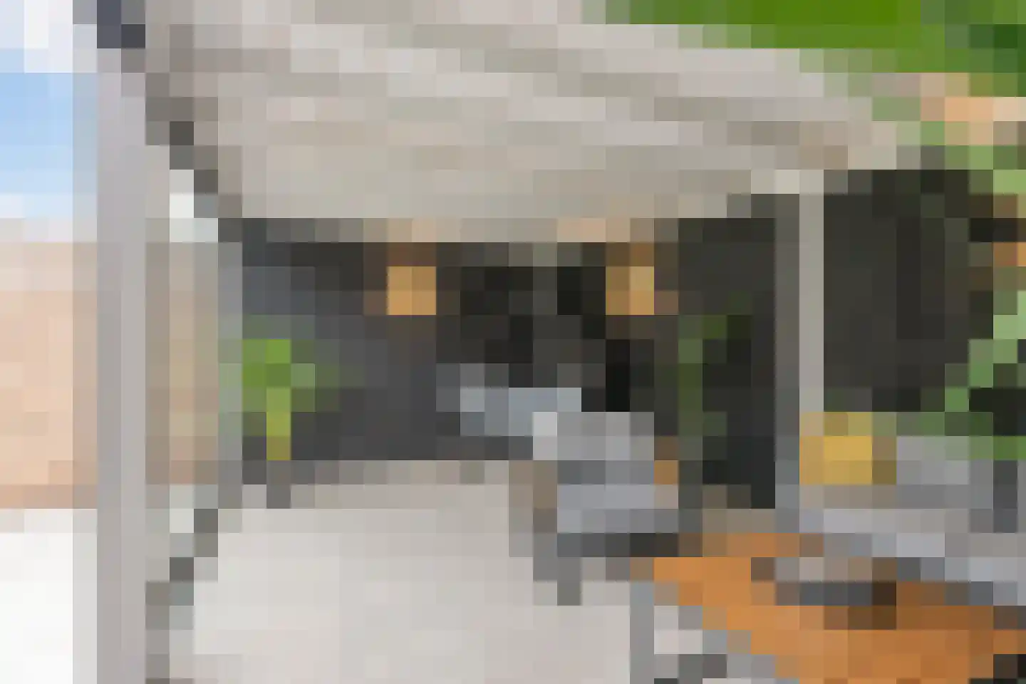 Limes 18 Huissen thumbnail 17