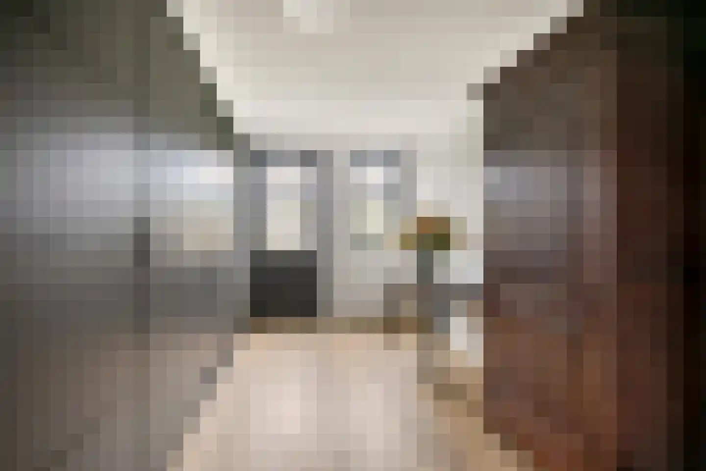 Limes 18 Huissen thumbnail 22