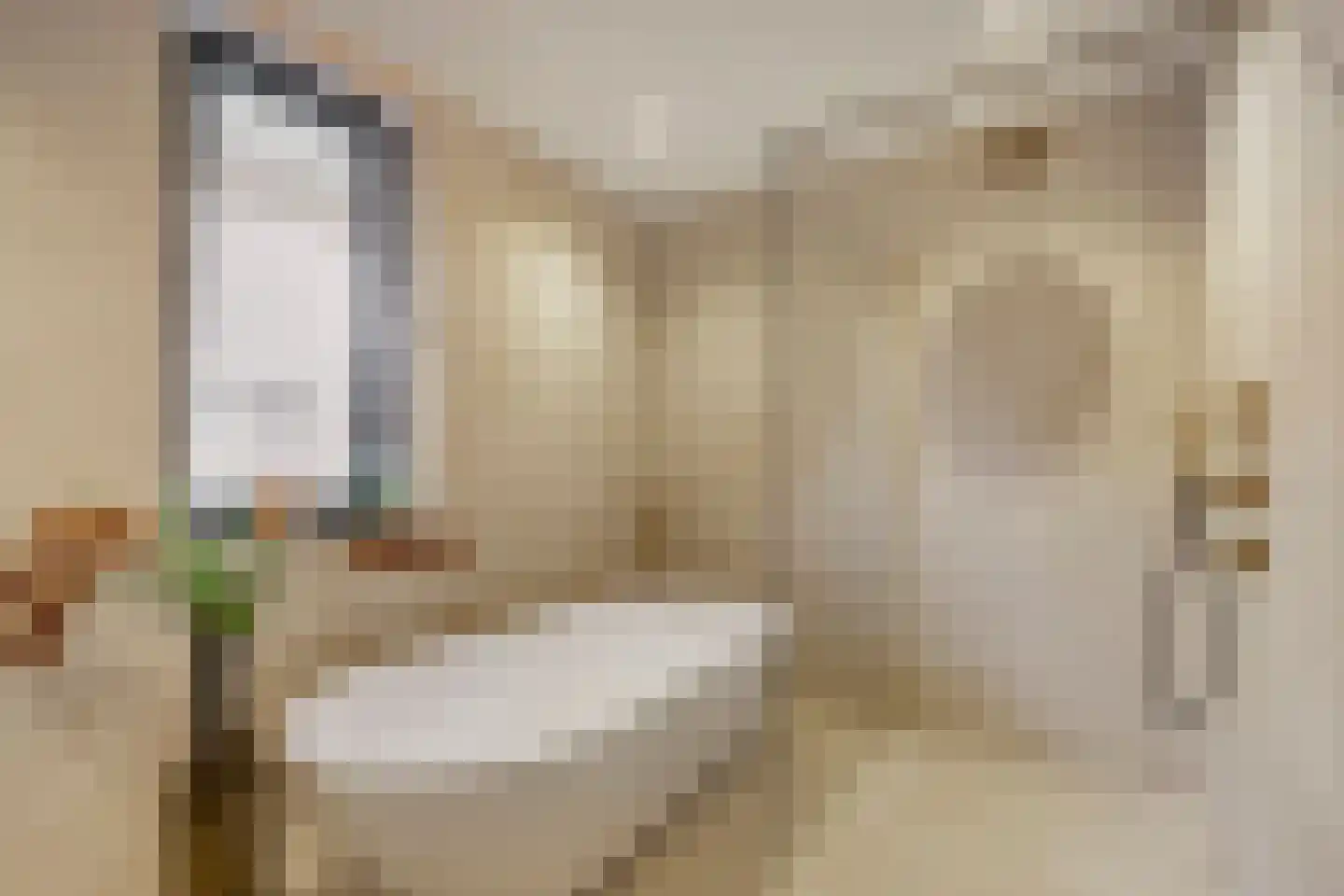 Limes 18 Huissen thumbnail 32
