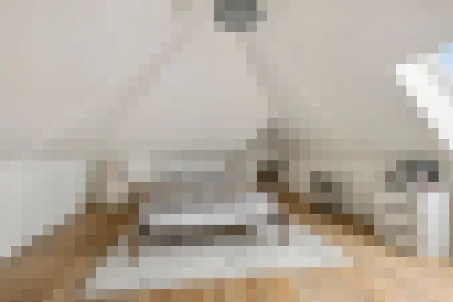 Limes 18 Huissen thumbnail 36