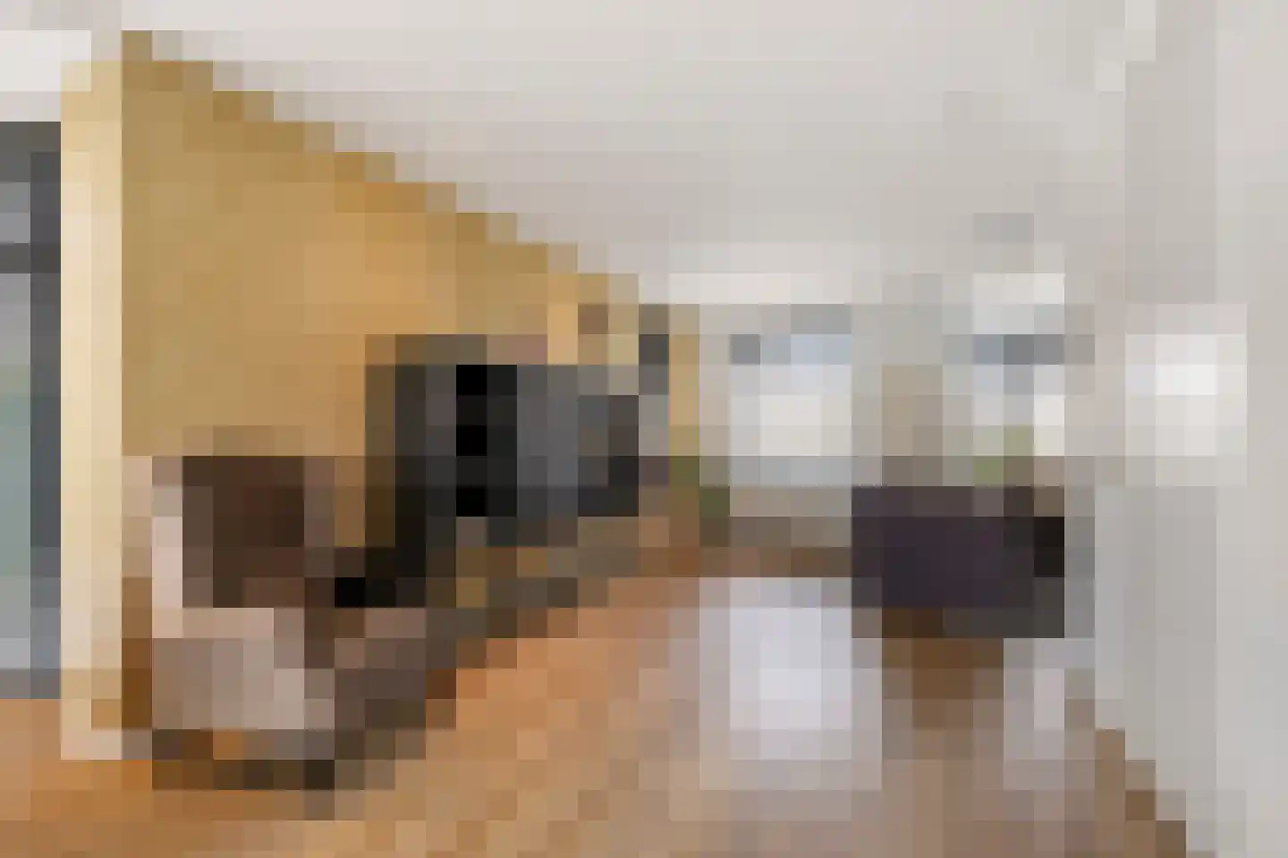 Limes 18 Huissen thumbnail 7