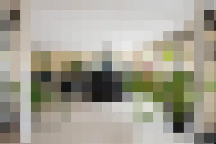 Limes 25 Poortugaal thumbnail 24