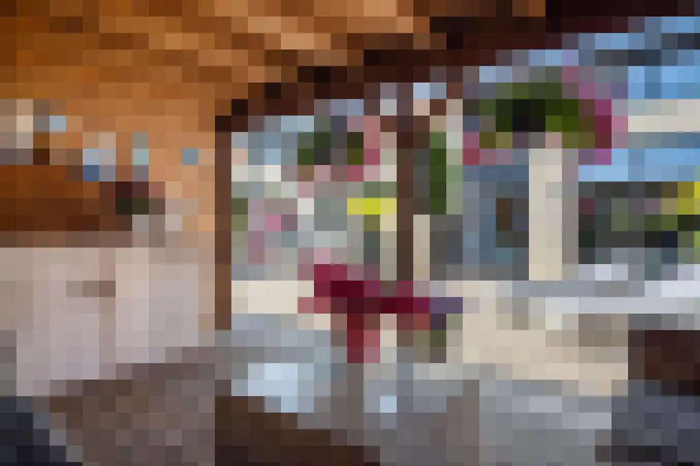 Limes 27 Poortugaal foto 3