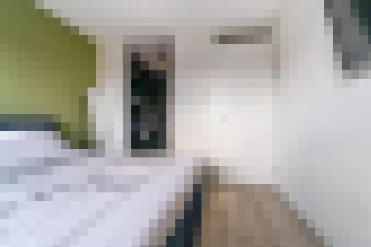 Limes 34 Huissen thumbnail 20