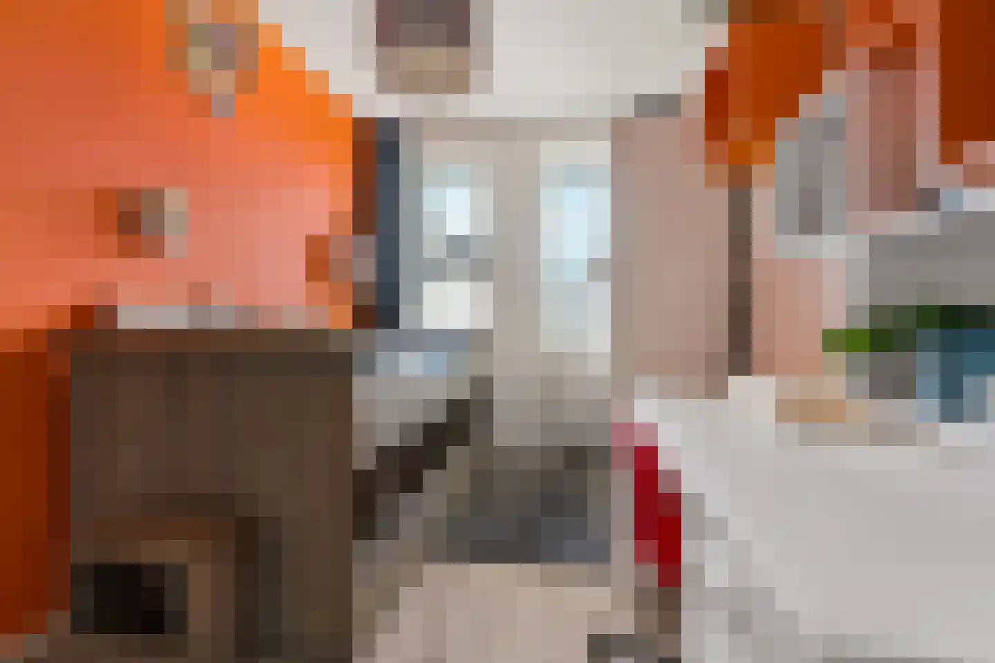 Limes 34 Huissen thumbnail 25