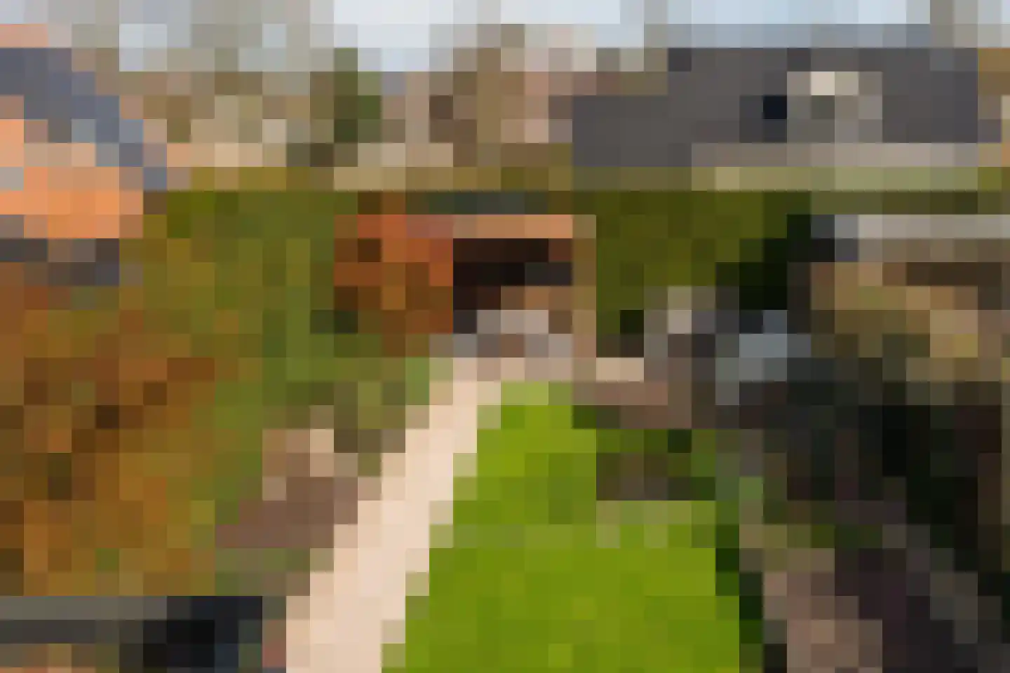 Limes 34 Huissen thumbnail 32