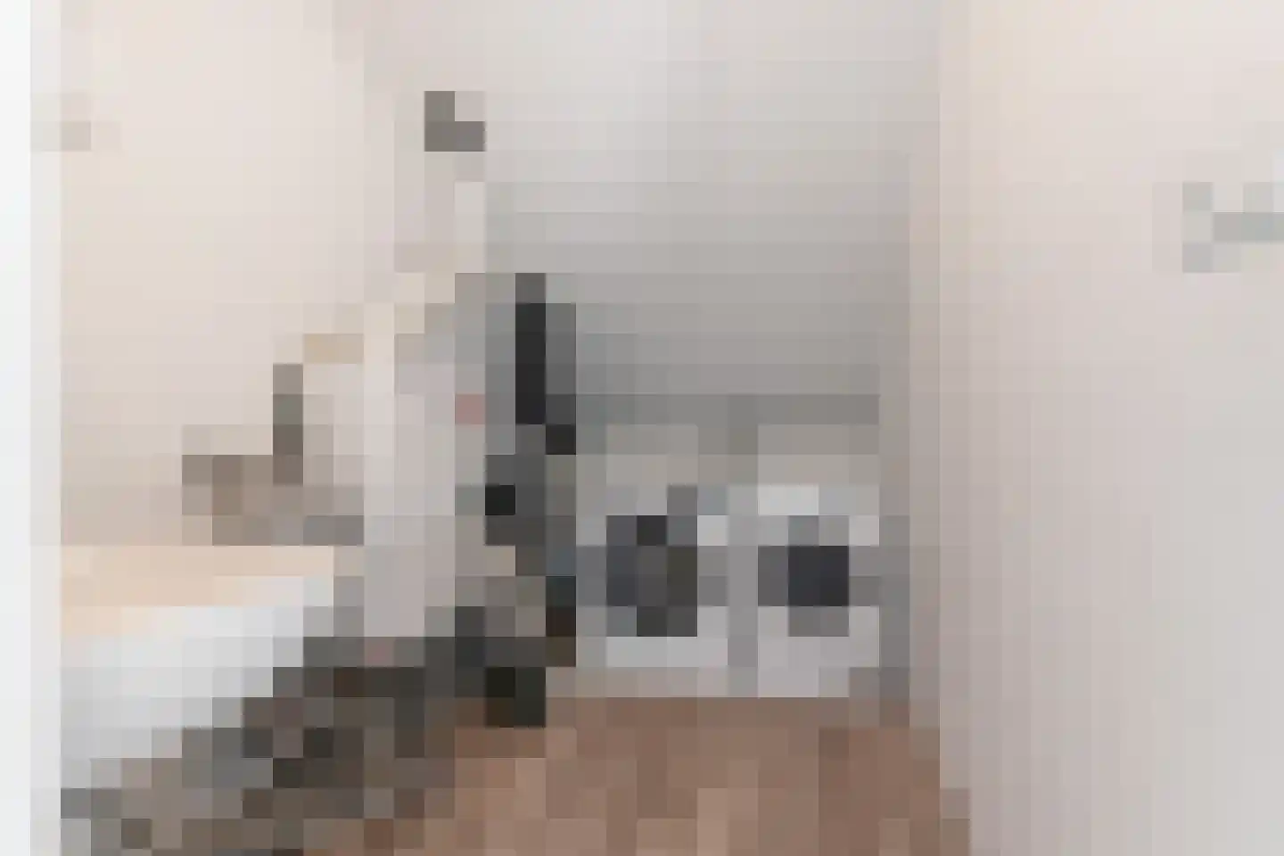 Limes 34 Huissen thumbnail 38