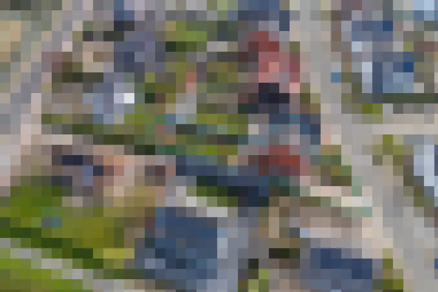 Limes 34 Huissen thumbnail 64