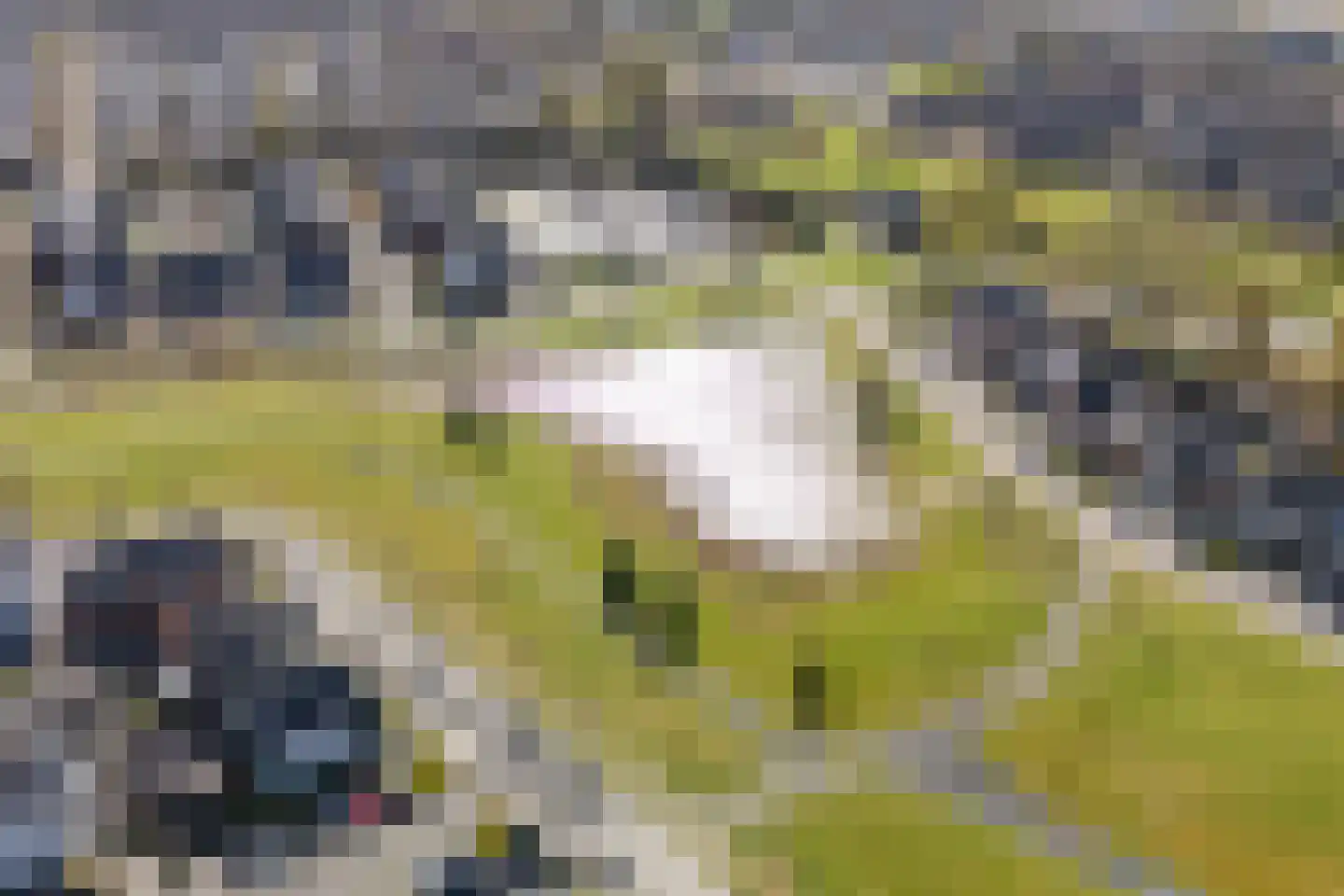 Limes 34 Huissen thumbnail 73