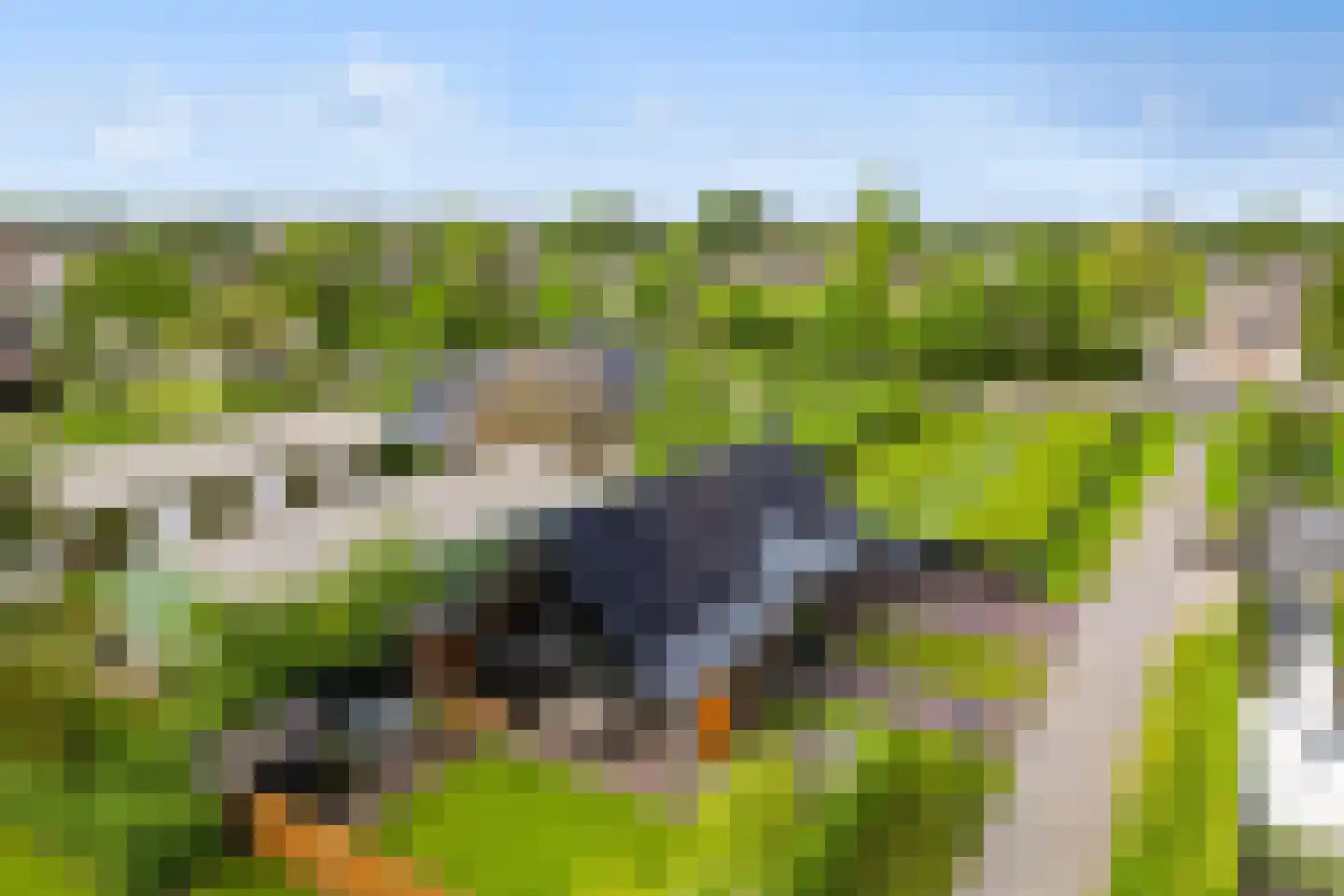 Limes 60 Huissen thumbnail 10