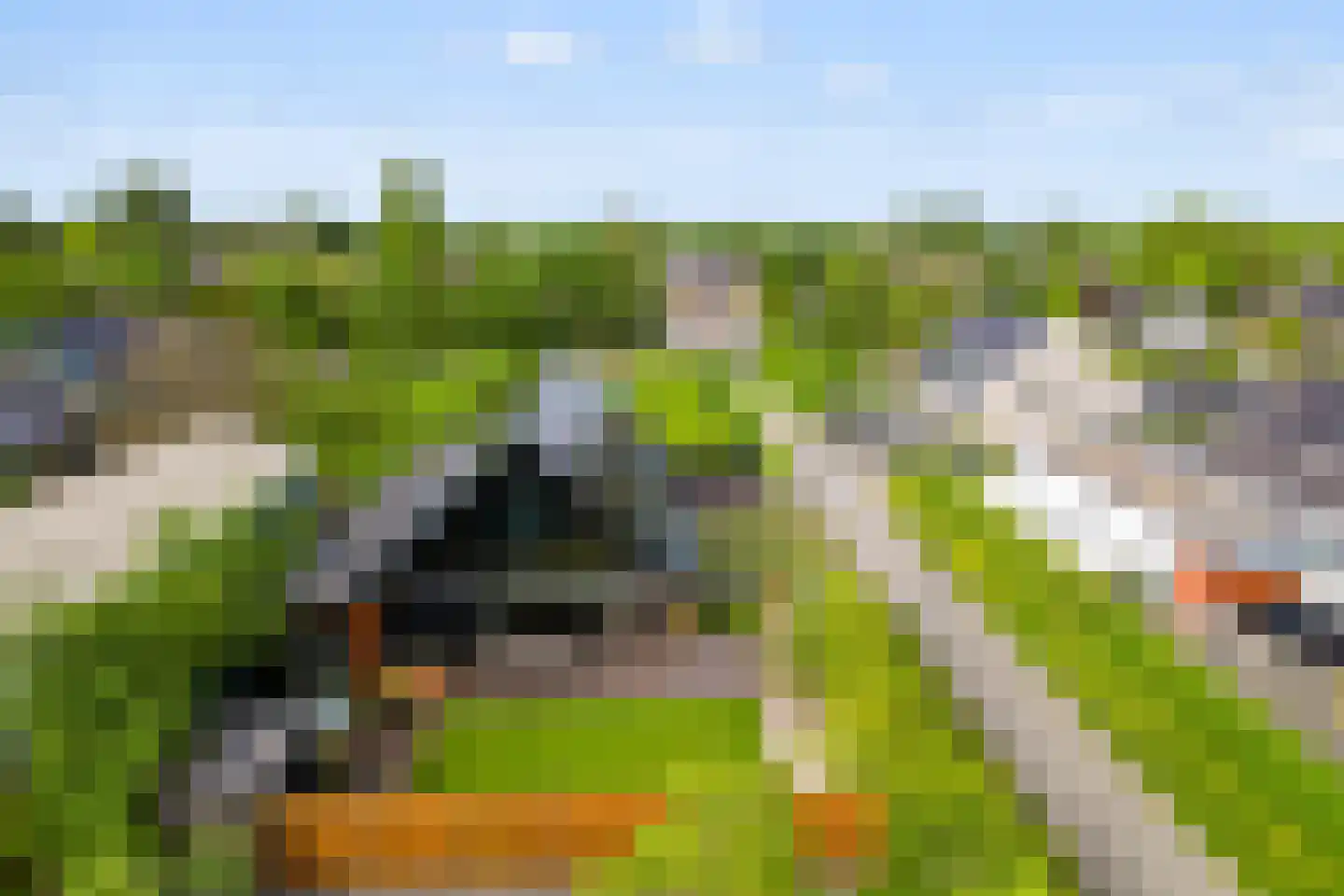 Limes 60 Huissen thumbnail 11